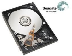 Seagate Barracuda 7200.10   Hard drive   250 GB   internal